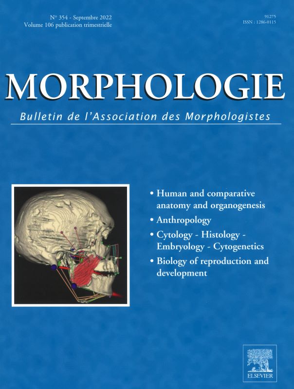 MORPHOLOGIE